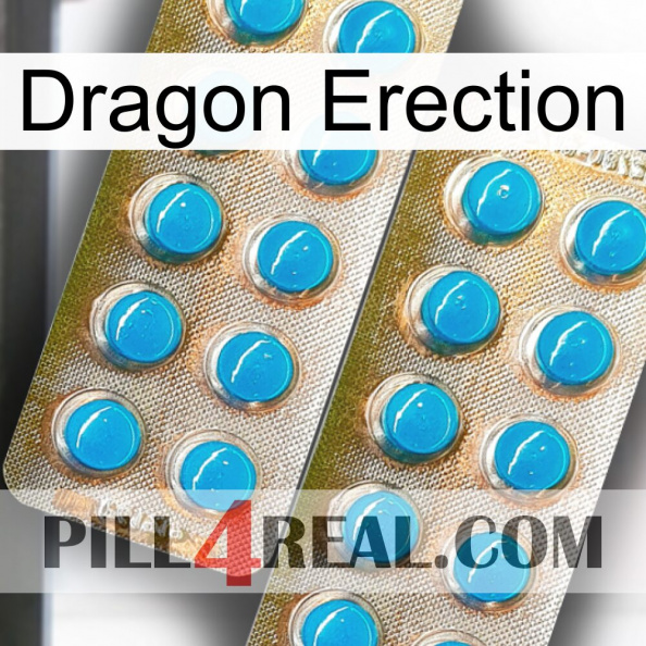 Dragon Erection new08.jpg